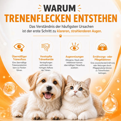 Sanfte Tropfen zur Entfernung von Augenflecken bei Haustieren