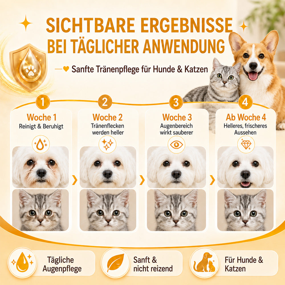 Sanfte Tropfen zur Entfernung von Augenflecken bei Haustieren
