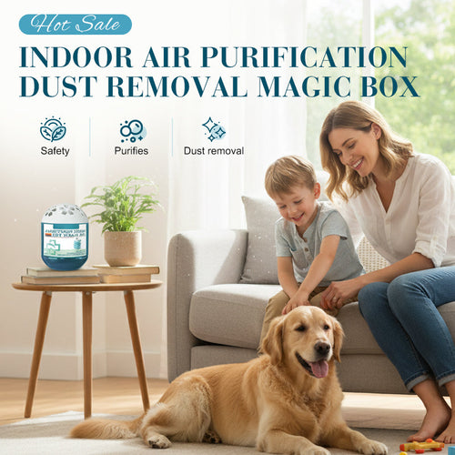 🏆Indoor Luftreinigung Staub Entfernung Magic Box🌿✨